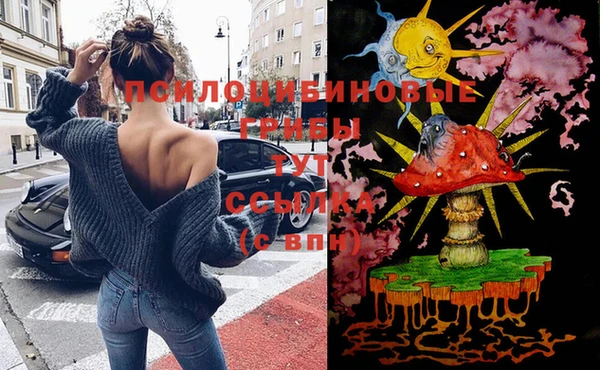 дживик Кодинск