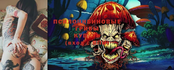 метадон Козловка