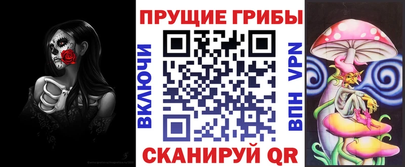 Псилоцибиновые грибы Psilocybine cubensis Салехард