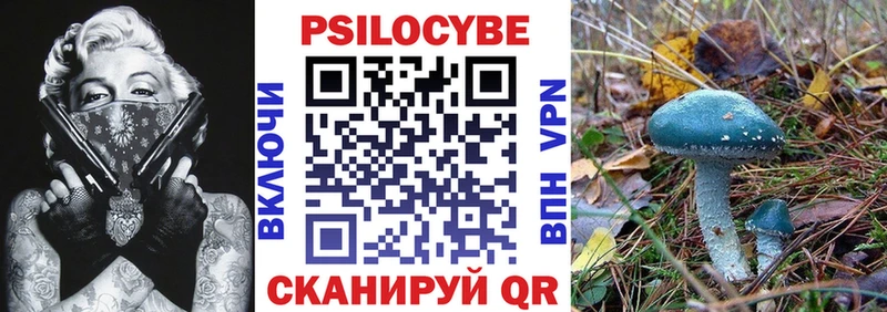 Галлюциногенные грибы мицелий  цены   Салехард 